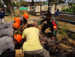 Bahayakan Masyarakat, Tim SAR Brimob Bone Evakuasi Pohon Lapuk di Jalan Yos Sudarso
