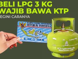 Beli LPG 3 Kg Bersubsidi di Makassar, Pertamina Syaratkan Harus Bawa KTP dan KK 