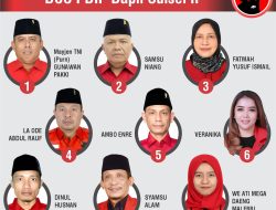 Kekuatan PDIP Dapil Sulsel II: Peluang Kunci Satu Kursi