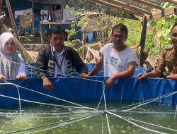 Lurah Lakessi Ajak Penyuluh Perikanan Kolaborasi Tingkatkan Produktivitas Pembudidayaan Ikan Air Tawar