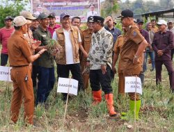 Pemprov Sulsel Bakal Bantu Sumur Bor untuk Petani Bawang di Enrekang