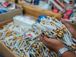 Bea Cukai Kembali Gagalkan Pengiriman Ratusan Ribu Rokok Ilegal
