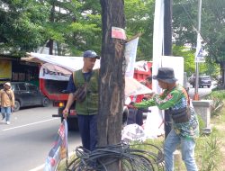 DLH Kota Makassar Tertibkan Puluhan Baliho dan Ratusan Spanduk APK Caleg yang Tertancap di Pohon 