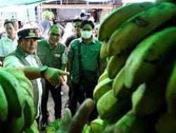 Pj Gubernur Sulsel Blusukan di Pasar Pannampu, Harga Cabai Masih Pedis