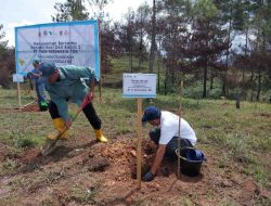 Tanam 424 Ribu Bibit Pohon, PT Vale Rehabilitasi DAS di Tana Toraja