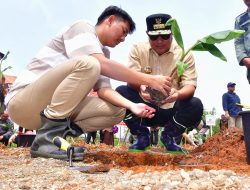 Pj Gubernur Sulsel Garap Hortikultura di Luwu Raya