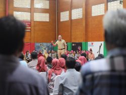Terima Lima Juta Bibit Cabai, Danny Pomanto Target Makassar Jadi Kota Pertama Bebas Inflasi Cabai