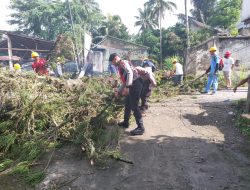 Sebabkan Kemacetan, Personel Polres Tator Evakuasi Pohon Tumbang yang Tutup Akses Jalan