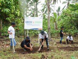 Menanam Tanaman Produktif di Lahan Kritis, BRI Grow dan Green Berdayakan Dua Kelompok Tani di Bali