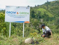 Bangkitkan Harapan Petani di Lahan Kritis, BRI Menanam Grow dan Green Salurkan Bantuan Tanaman Produktif