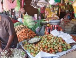 Harga Tomat di Pasar Baru Mamuju Naik Sampai 300 Persen