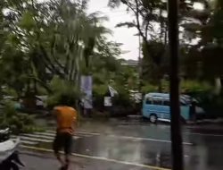 Cuaca Ekstrem Landa Makassar, 2 Unit Mobil Tertimpa Pohon Tumbang