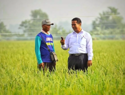 Menteri Pertanian RI Laksanakan Kunjungan Kerja untuk Tingkatkan Produktivitas Pertanian Sulsel