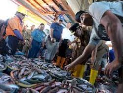 TPI Paotere Pastikan Ketersediaan Ikan di Musim Hujan