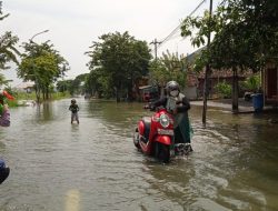 Mengejutkan, Dinkes Memperingatkan Bahaya DBD Karena Gresik Mengalami Kebanjiran dibeberapa titik di Kota dan Kabupaten