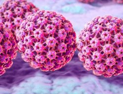 Rahasia Cegah HPV dengan Mudah: Tips Dokter Anindhita