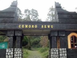 Membongkar Rahasia Jalur Pendakian Gunung Lawu via Cemoro Sewu!