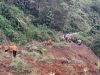 Pencarian Korban Tanah Longsor di Luwu Ditutup, Basarnas Siap Buka Kembali Jika Ada Laporan Terbaru