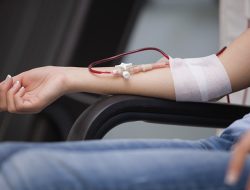 Bolehkah Donor Darah Saat Puasa Ramadan? Yuk Simak Penjelasannya