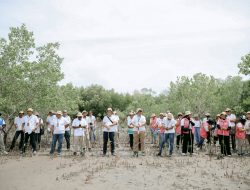 PLN Tanam Ribuan Mangrove, Rehabilitasi Pesisir Tanah Merah dan Menipo di NTT