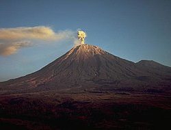 Gunung Semeru Muntahkan Lahar, Masyarakat Jawa Timur Siap Siaga