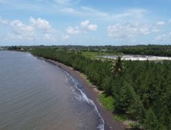 Kelompok Masyarakat Pengawas Benteng Samudra Desa Bomo Terus Mempercantik Pantai Ria Bomo