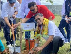 Gelar Tanam Pohon Serentak, Universitas Muslim Maros Sebut Program KLHK Sangat Sesuai Dengan Visi Kampus