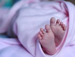 Warga Tamalanrea Geger Usai Temukan Bayi Perempuan di Lahan Kosong