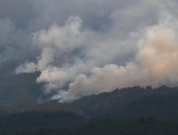 Darurat Karhutla, Riau Berada di Status Siaga