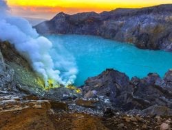 Pulau Jawa Rasa Afrika! Berikut 3 Rekomendasi Lokasi Wisata di Wilayah Jawa Timur