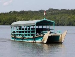 Ekowisata Mangrove Bedul, Destinasi Wisata Mirip Hutan Amazone di Banyuwangi