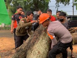 Pulang Patroli Laut, Tim SAR Brimob Bone Evakuasi Pohon Tumbang di Apala