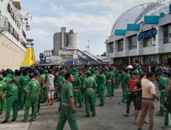 12 Hari Pasca Lebaran, Pelindo Regional 4 Catat Jumlah Penumpang Capai 667.012 Orang