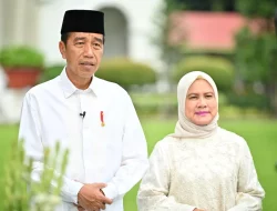 Jokowi Belum Sowan ke Megawati, Jhon Sitorus: Kacang Lupa Kulit?