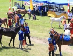 Kontes Kuda Lokal Jarang Patta’ba Meriahkan Peringatan Hari Jadi Jeneponto ke-161