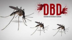 Pasien DBD Meningkat, PMI Jakbar Minta Masyarakat Donor Darah
