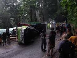 Jalur Jember-Banyuwangi macet akibat Truk Terguling