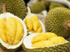 Tangan dan Mulut Bau? Berikut Cara Ampuh Menghilangkan Bau Usai Menikmati Durian