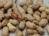 Berikut 5 Manfaat Kacang Tanah Bagi Kesehatan Tubuh