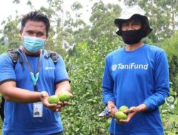 OJK Cabut Izin PT Tani Fund Madani Indonesia