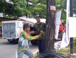 DLH Makassar Mulai Tertibkan APK yang Dipaku di Pohon, Imbau Pemasangan Gunakan Tali 
