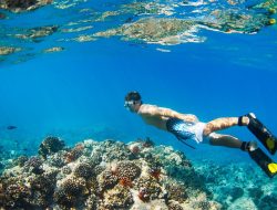 7 Rekomendasi Spot Menyelam dan Snorkeling di Sekitar IKN, Dijamin Seru!