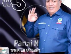 Ketua NasDem Torut Dipastikan Tak Maju di Pilkada