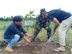 Kodim 1410 Bantaeng Gandeng Huadi Group Lakukan Aksi Penanaman Pohon