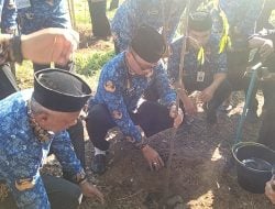 Hari Pertama Berkantor, Prof Zudan Ajak Masyarakat Sulsel Galakkan Penanaman Pohon
