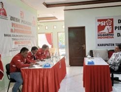 PSI Timbang Usung Petahana di Pilkada Torut