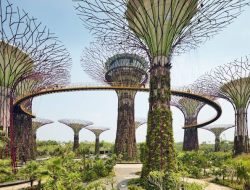 Wisata ke Garden By The Bay Singapore? Ini Dia Berbagai Aktivitas yang Wajib Anda Lakukan