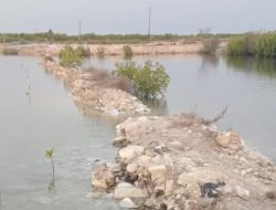 Proyek Talud Senilai Rp1,6 Miliar di Pulau Tanakeke Takalar Tuai Sorotan