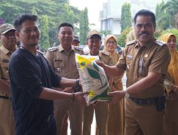 Pj Bupati Pinrang Serahkan Bantuan untuk Petani Terdampak Bencana dan Gagal Panen