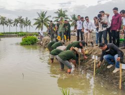 Peringati Hari Lingkungan Hidup, Pemkab Bulukumba Tanam 5 Ribu Pohon Mangrove